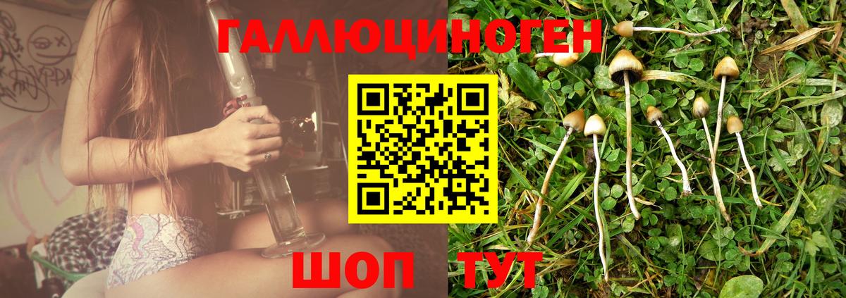 Зерноград  Галлюциногенные грибы ЛСД  Вход с VPN  Псилоцибиновые грибы Magic Shrooms 